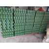 綠化護(hù)坡7公分植草格/山東闊展工程材料