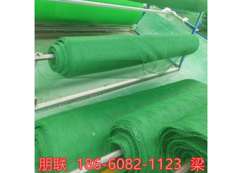 揚(yáng)州三維植被網(wǎng)廠家直接發(fā)貨
