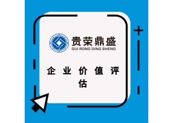 北京市企業(yè)股權評估企業(yè)價值評估破產清算評估