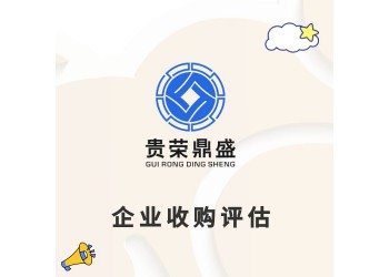 浙江省杭州市企業(yè)重組整合評(píng)估企業(yè)并購(gòu)剝離評(píng)估員工持股評(píng)估