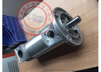 HSNH660-40N輪胎橡塑行業(yè)點(diǎn)火泵_技術(shù)支持