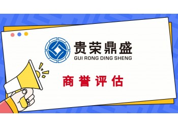 成都市高新區(qū)商標(biāo)評估無形知識產(chǎn)權(quán)評估專利技術(shù)出資評估