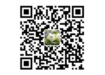 奇門遁甲2可以投資嗎？網(wǎng)絡(luò)電影值得投資嗎？投資成本是多少？