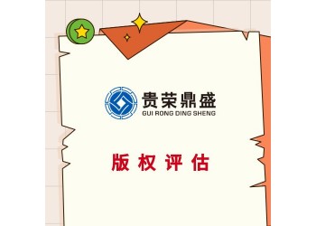 廣東省河源市企業(yè)技術(shù)出資評估知識產(chǎn)權(quán)評估專利出資評估