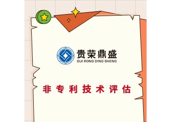 廣東省清遠(yuǎn)市專有技術(shù)評估
