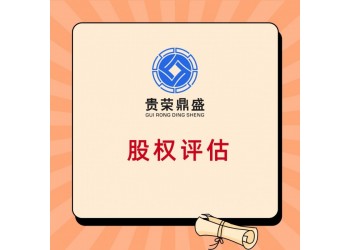 云南省曲靖市股權(quán)收益法評(píng)估 股權(quán)轉(zhuǎn)讓前價(jià)值評(píng)估