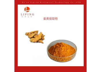 姜黃提取物姜黃素95%  水溶性/飼料級(jí)姜黃素提取物