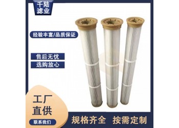 供應(yīng)攪拌站倉頂除塵器除塵濾筒 注膠端蓋水泥廠吊裝除塵濾芯