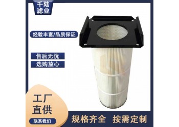 方盤法蘭除塵濾芯 覆膜防靜電方法蘭式除塵濾筒供應(yīng)