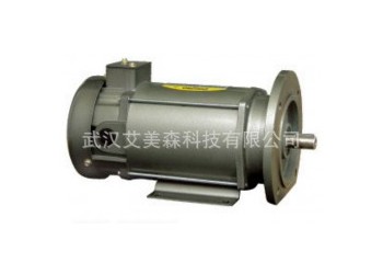 臺(tái)灣TPG 永磁式直流馬達(dá)