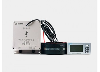 WRS-MTS31中壓電機絕緣傳感器? 電機絕緣監(jiān)測儀沃倫森